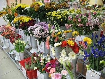 Перед 8 марта цены на цветы в Перми вырастут в среднем на 30%