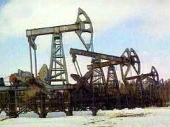 Компания «ЛУКОЙЛ-ПЕРМЬ» приобрела два участка углеводородного сырья в Пермском крае за 38,5 млн рублей