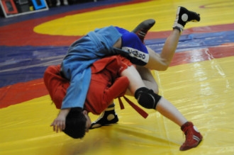 В Перми пройдет открытый кубок города по самбо