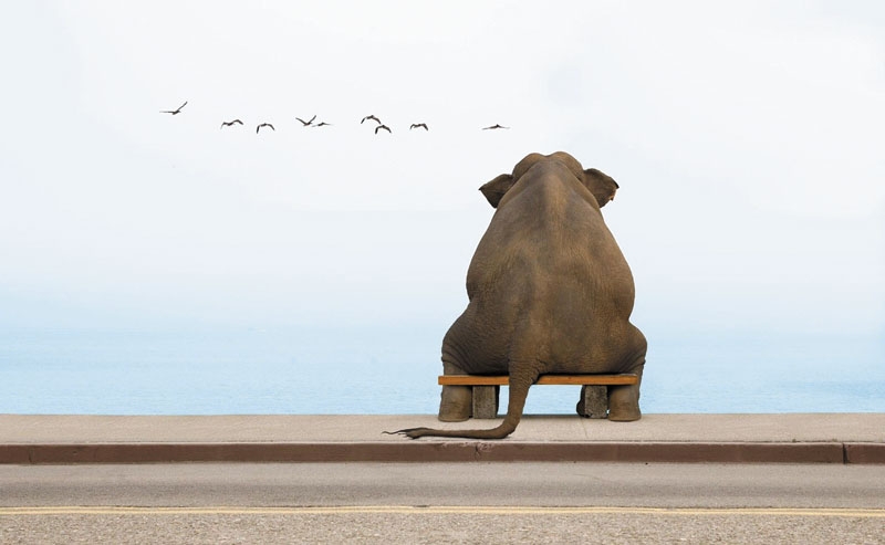 И пусть весь мир подождет 