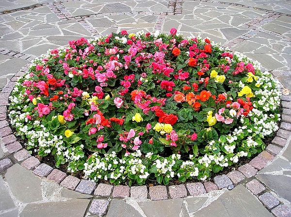 В Перми рассмотрят вопрос о возрождении муниципального цветочного питомника