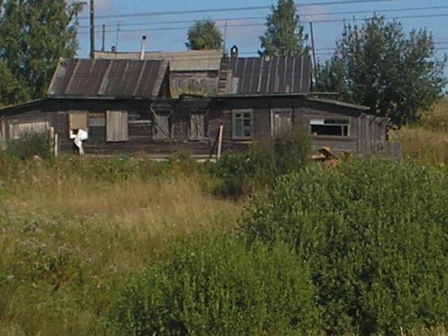 В Пермском крае подросток из неблагополучной семьи найден повешенным