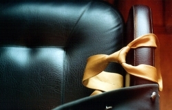 Константин Черемушкин назначен заместителем министра природных ресурсов и лесного хозяйства Пермского края