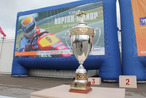 Прокуратура признала незаконным назначение директора самой большой спортивной школы Перми