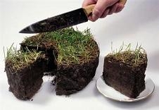 «Люди получают кота в мешке», - Алексей Луканин о предоставлении земельных участков многодетным семьям в Перми