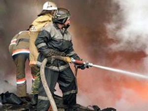 Пожар погубил технику на одной из пилорам Пермского края