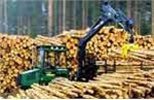 Пермский край лидирует в ПФО по количеству поставляемой древесины для приоритетных инвестпроектов в области глубокой переработки леса
