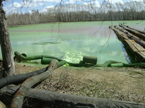 В реку Чусовая ведется сброс химических отходов