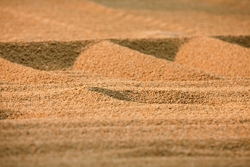 Компания «Уралкалий» опубликовала цены для российских потребителей