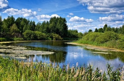 В 2011 году на восстановление Зюкайского пруда в Пермском крае выделено 22 млн рублей
