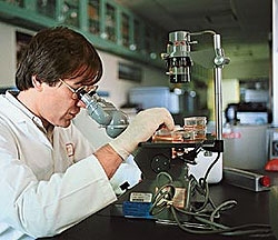 В Перми ученые создают прибор для диагностики заболеваний органов дыхания