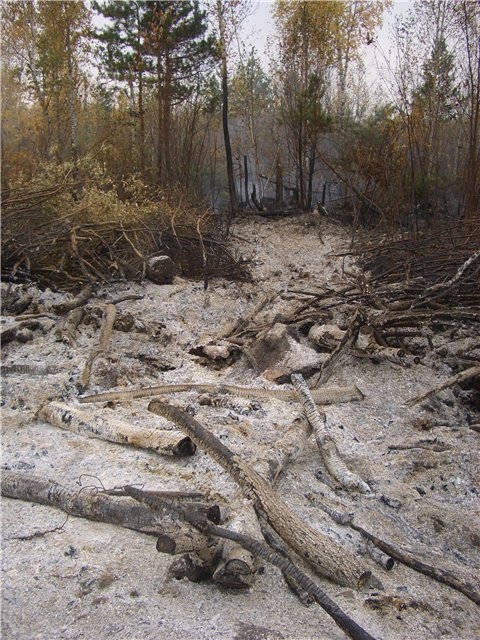 Расходы на ликвидацию горения короотвала администрация Краснокамска и Краснокамского района взыскали с Минфина РФ 