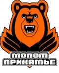Молот-Прикамье проиграл саратовскому аутсайдеру