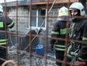 В Соликамске сгорел приют для животных