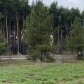 Цифровой комфорт среди природы: МегаФон расширил покрытие в санатории «Демидково»