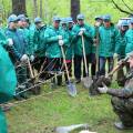 «Уралхим» высадил цветущие деревья в Черняевском лесу