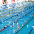 В Перми пройдет Первенство края по плаванию «Веселый дельфин»