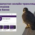​Уралсиб запустил онлайн-трансляцию жизни сапсанов на крыше банка